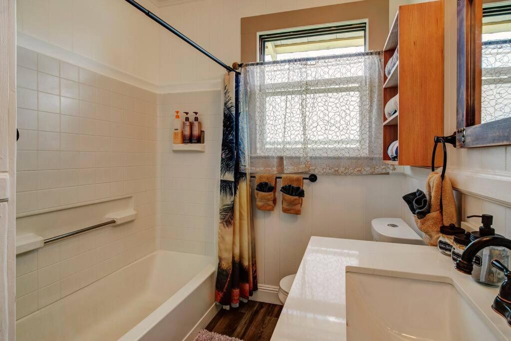 New Paddler'S Inn- 3Br Hilo Downtown Ngoại thất bức ảnh