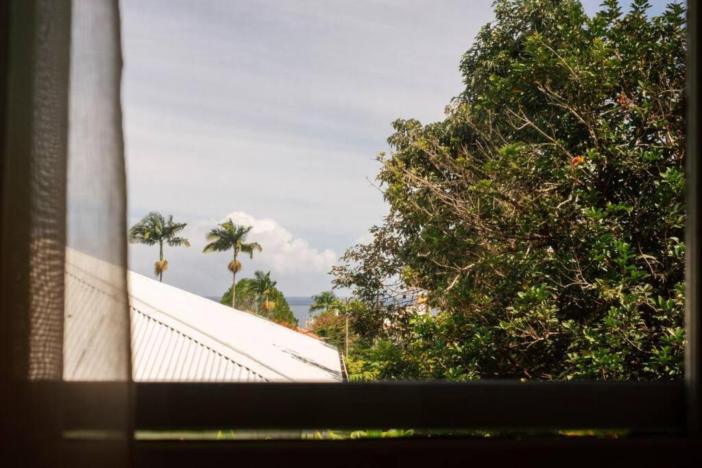 New Paddler'S Inn- 3Br Hilo Downtown Ngoại thất bức ảnh